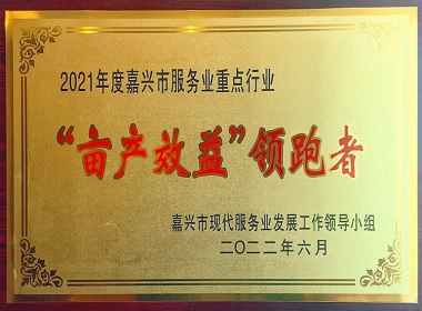 2021��ȼ�����Ķ��Ч��