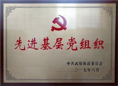 2017�Ƚ��²㵳��֯