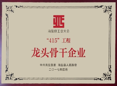 2017�꺣����415������ͷ������ҵ