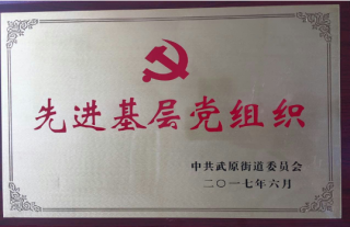 ��ϲ��˾��֧���ٻ��Ƚ��²㵳��֯���ƺ�