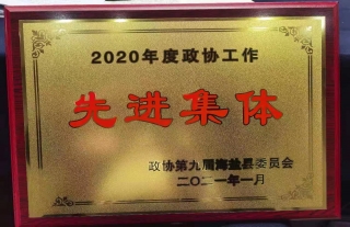 ��ɽ�˵���ЭίԱ��������2020�����Э�����Ƚ�����