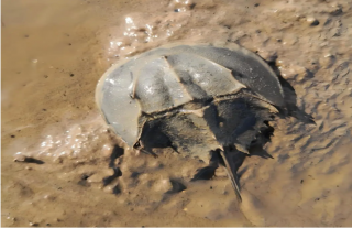 ־���䡰�ˡ�ح������̬�����������������ж�