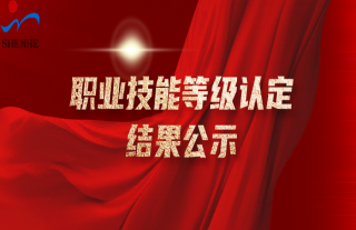 ־���䡰�ˡ� | 2025��ְҵ����Ʒ���϶�Ч����ʾ